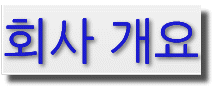 회사 개요